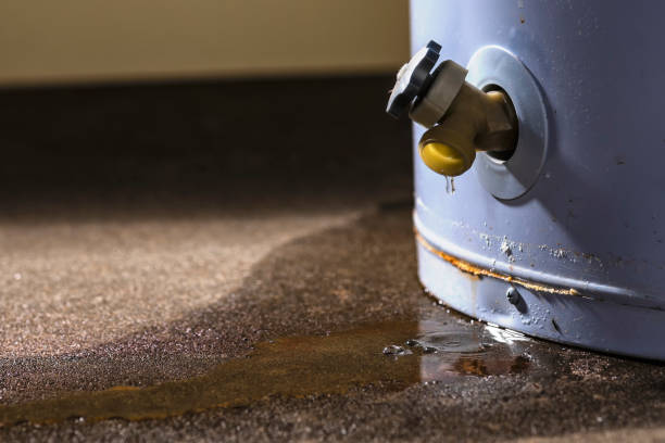 Best Residential water damage restoration  in Signal Hill, CA