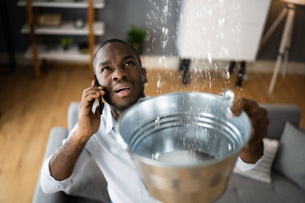 Best Water damage restoration experts  in Signal Hill, CA