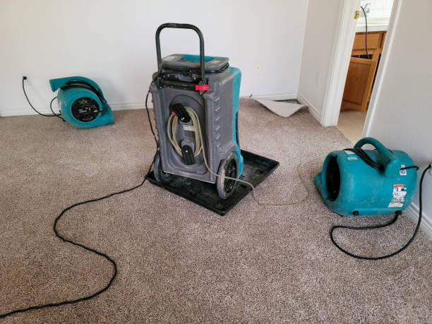 Best Water damage contractors near me  in Signal Hill, CA