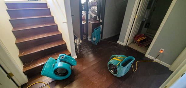 Professional Water damage restoration in Signal Hill, CA