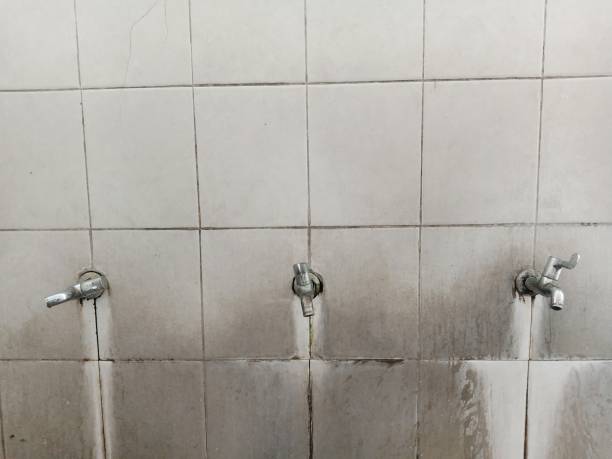 Best Water damage restoration near me  in Signal Hill, CA