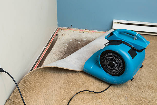 Water damage restoration experts in Signal Hill, CA